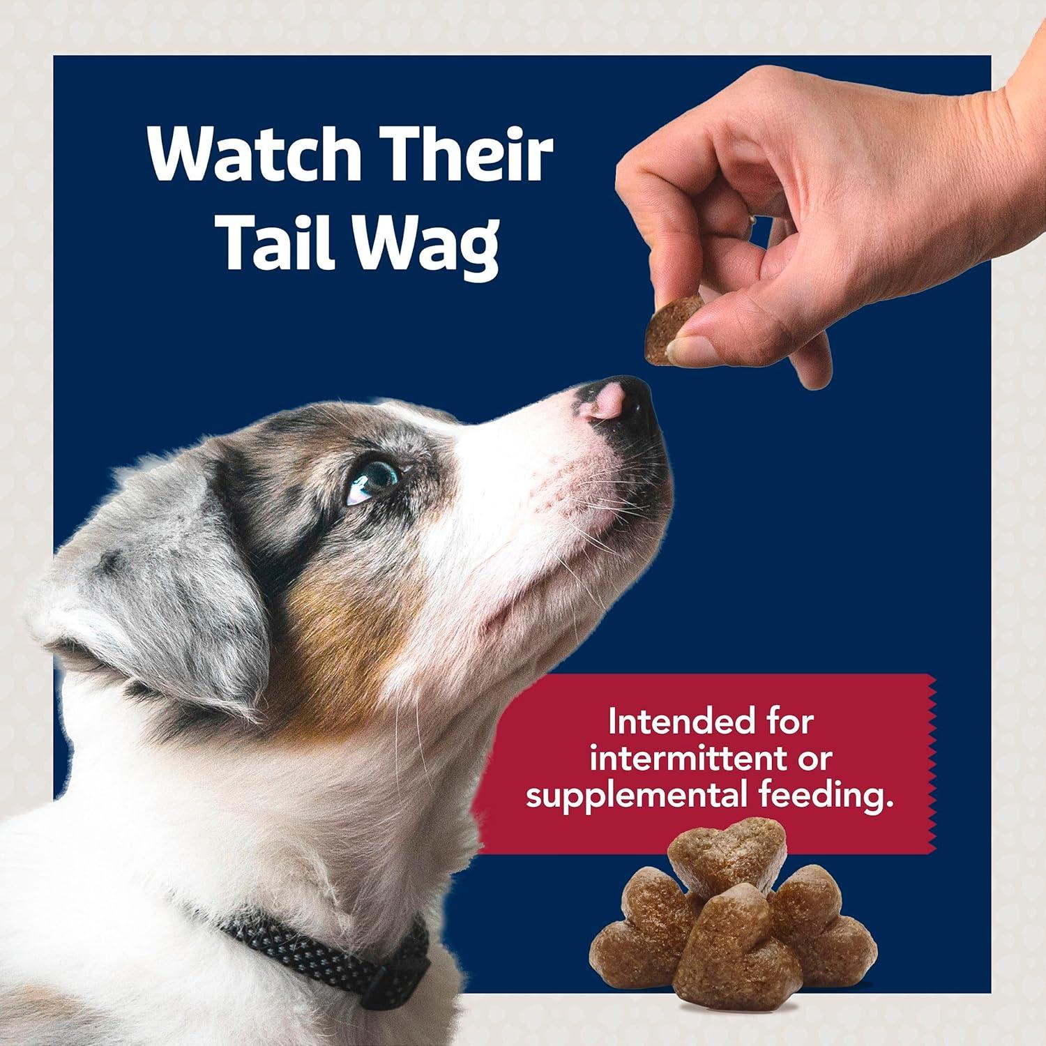 imageBlue Buffalo Jumbo Bits Soft amp Chewy Anytime Treats Chicken Recipe Natural Dog Treats Mineral Enhanced for Flavor 4 oz BagBeef