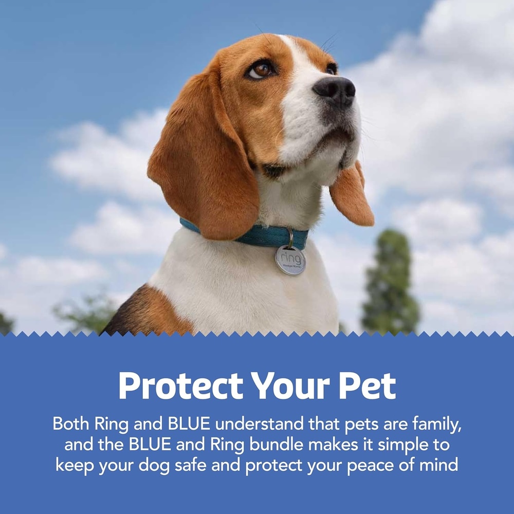 image:imageBlue Buffalo Bits Soft amp Chewy Dog Treats Chicken Recipe 11oz Bag  Ring Pet Tag