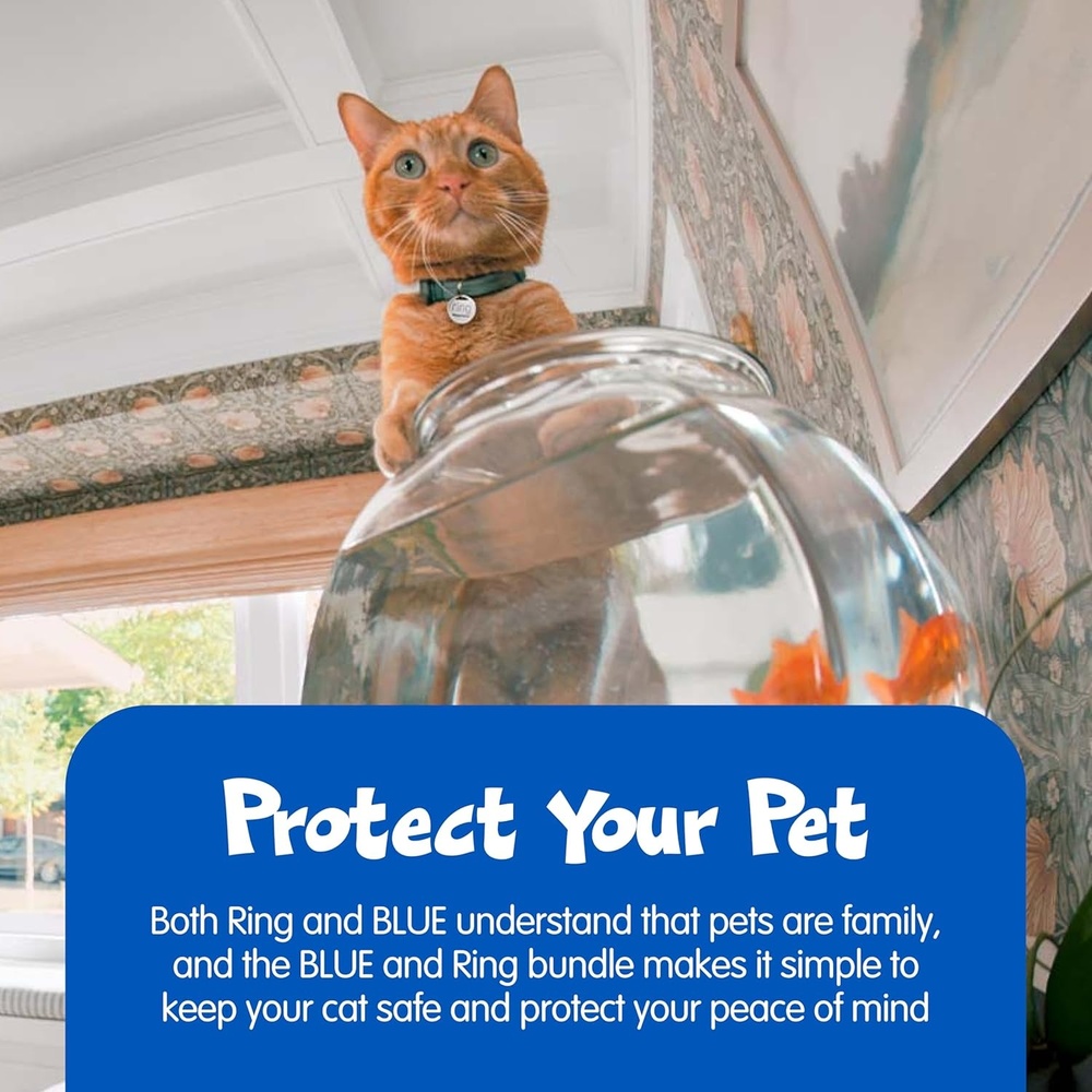 image:imageBlue Buffalo Bursts Crunchy amp Creamy Cat Treats Chicken 12oz Tub  Ring Pet Tag